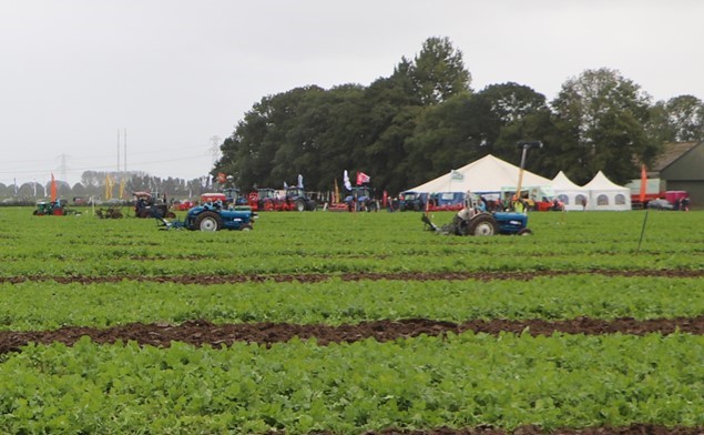 Nationale Ploegwedstrijden