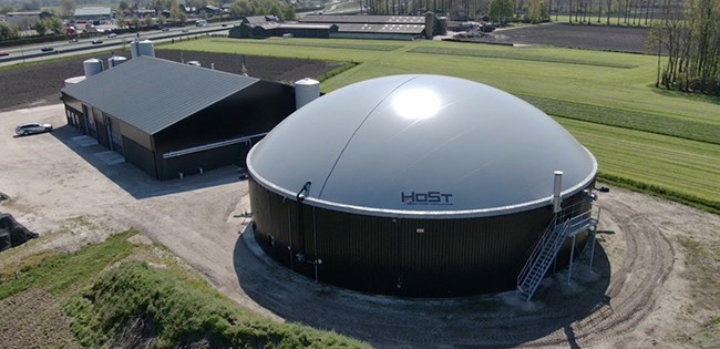 Vergister Groenewoud