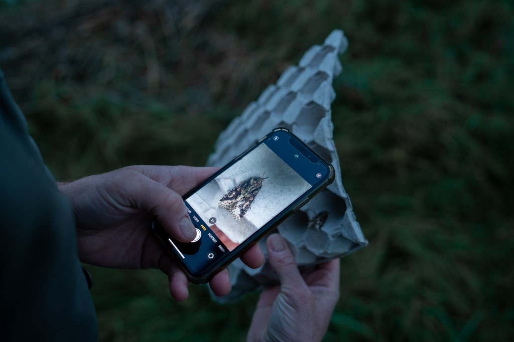 BIMAG nachtvlinders tellen met Klaas-16