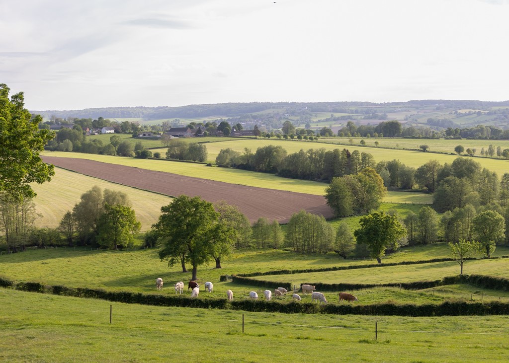 Mechelderbeekdal water landschap landbouw