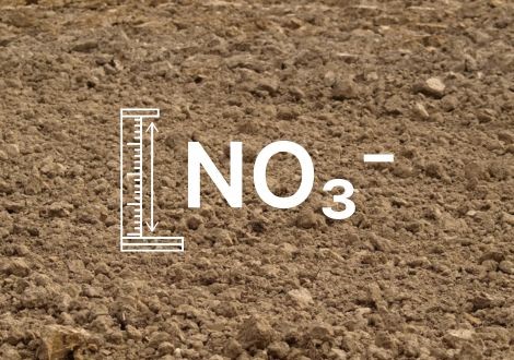Nitraatweerbericht