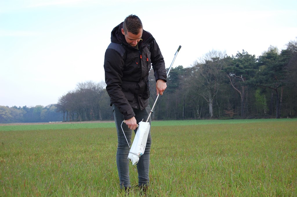 N-mineraalmeting meting N-mineraal veld Maria Hoop.JPG