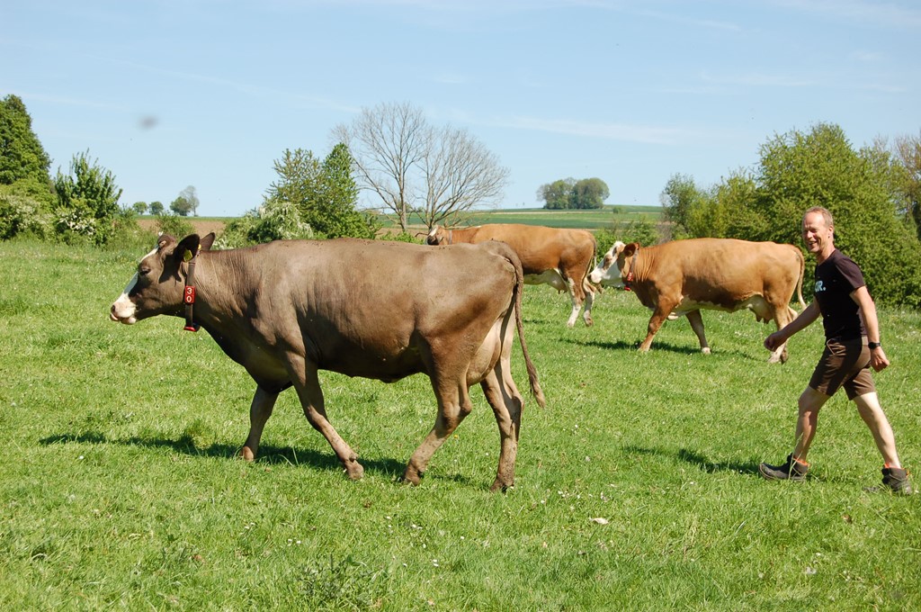 Inspiratiebedrijf Natuurlijk Felix Huntjens.JPG