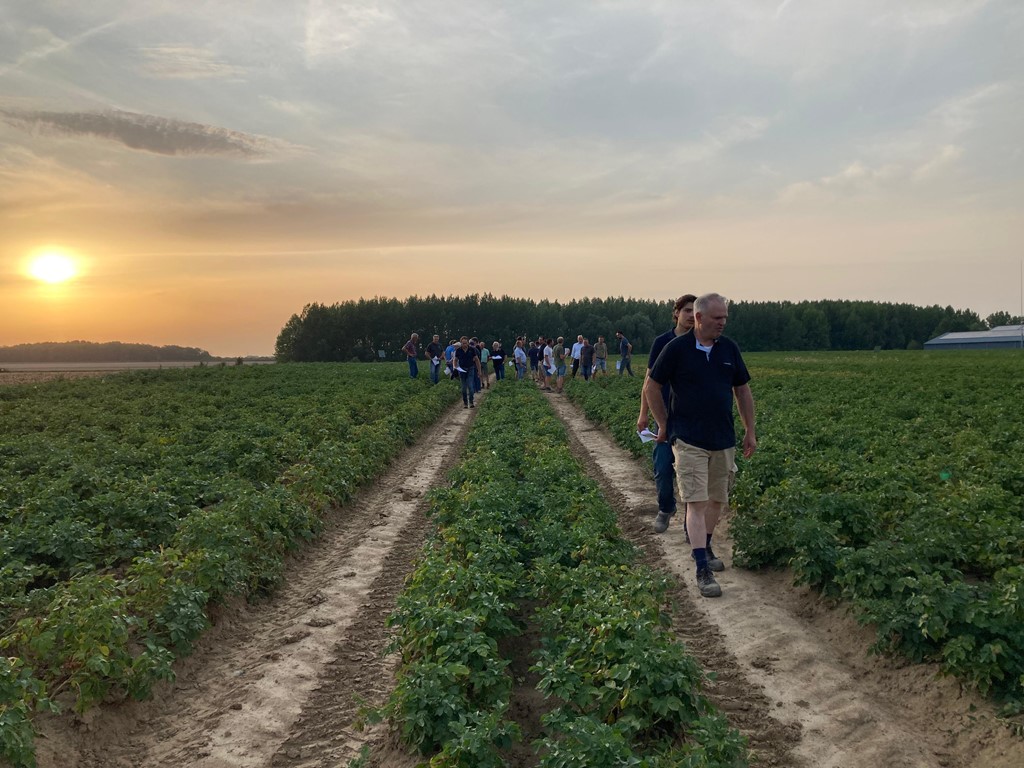 Veldbijeenkomst 2 Aardappelpilot 