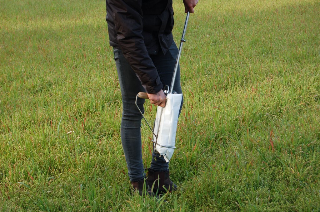 Nitraatweerbericht N-minmeting nitraat meting.JPG