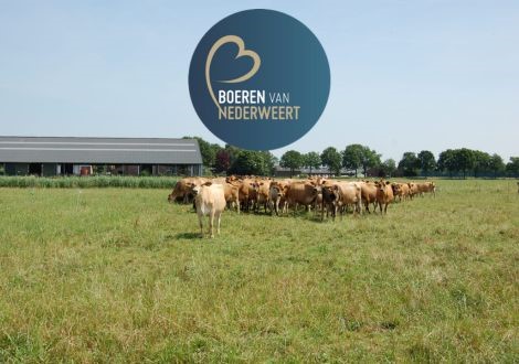 Boeren van Nederweert