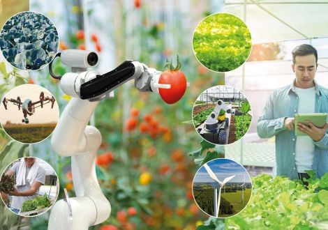 Supply Chain Valley agrofood