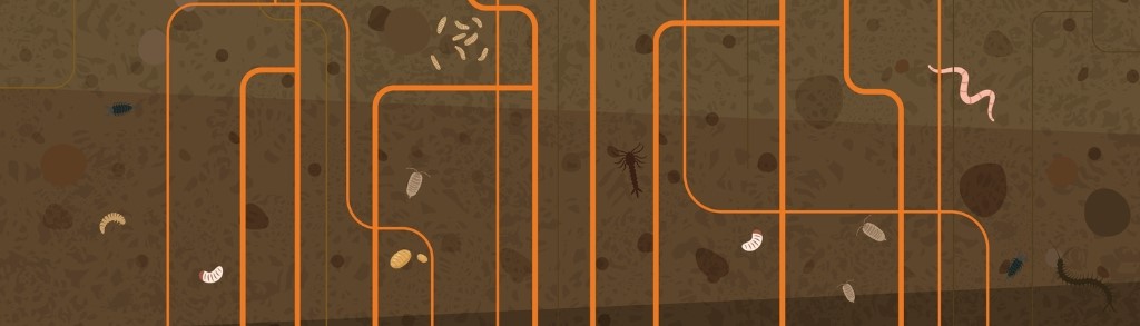 Header website LLTB Jaarcongres 2025