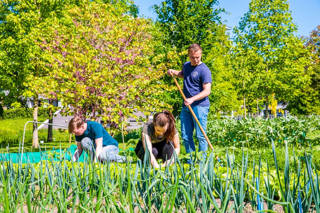 Studenten komen heel veel op bedrijven; ze staan echt met hun voeten in het zand of de klei