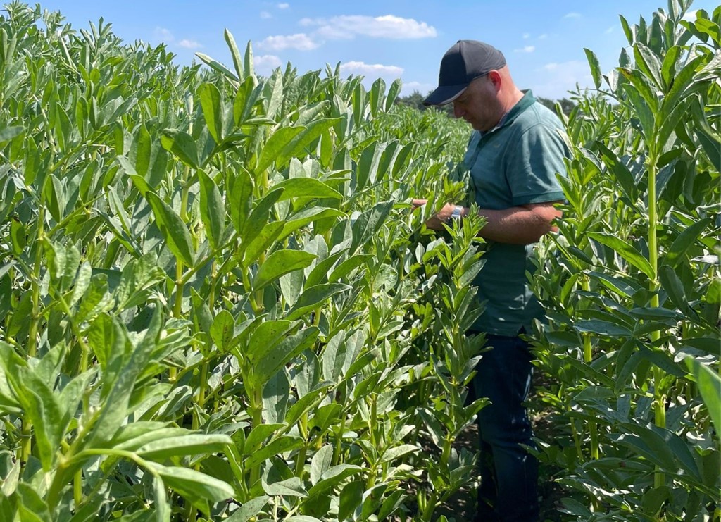 Veldboon Gerard Meuffels