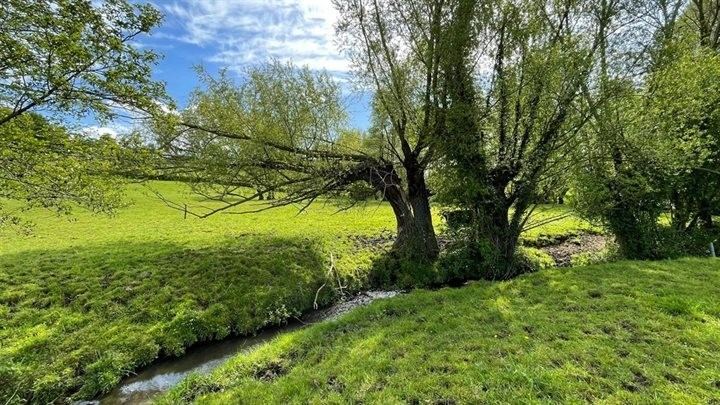 Natuur- en landschapselementen