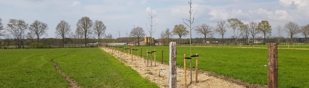 Header website agroforestry natuurinclusieve landbouw