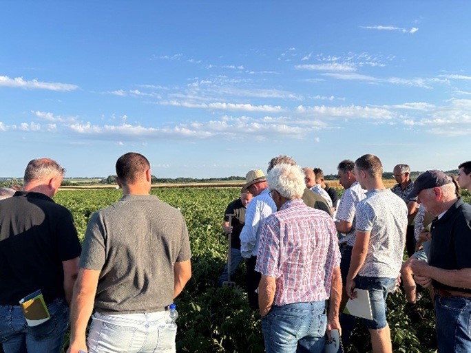 Proefboerderij Wijnandsrade aardappelpilot